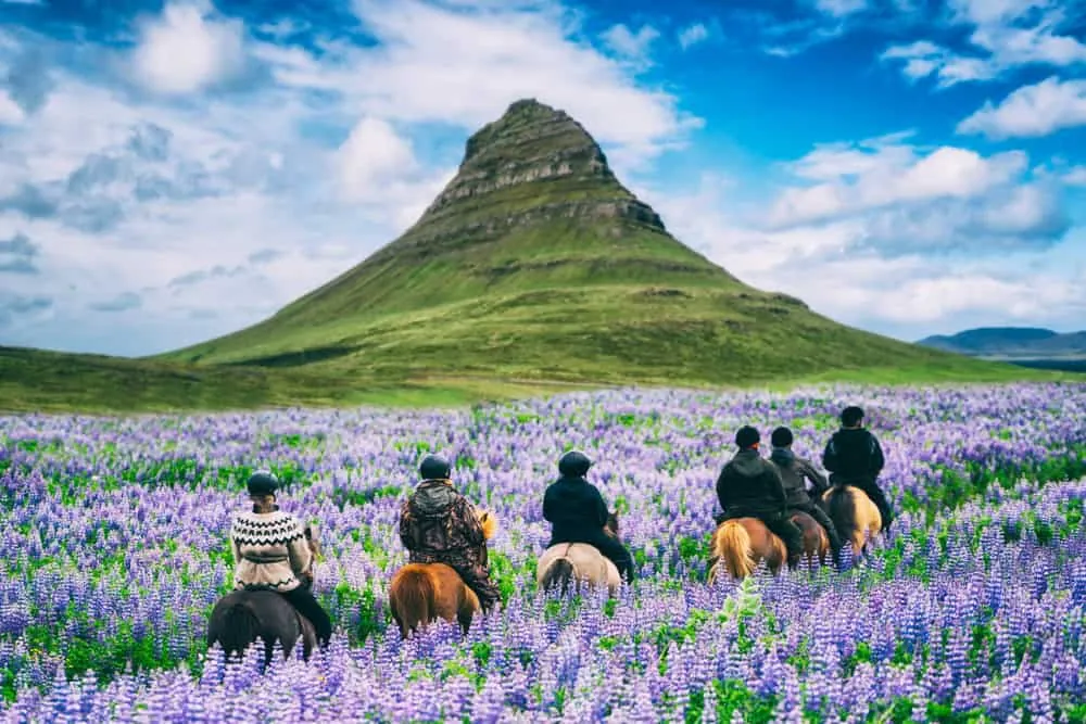 Gruppe reitet auf Islandpferden durch die Landschaft